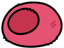 03felt_dome_ak_repair