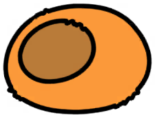 03felt_dome_ki_repair