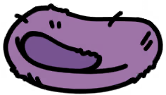 03felt_dome_mu_break