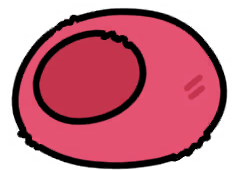 03felt_dome_ak_repair