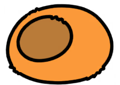 03felt_dome_ki_repair