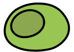 Melon Coccoon