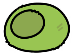 03felt_dome_mi_repair