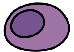 Berry Coccoon