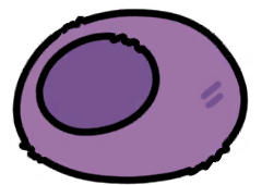 03felt_dome_mu_repair
