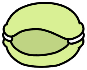 Cat Macaron (Green)