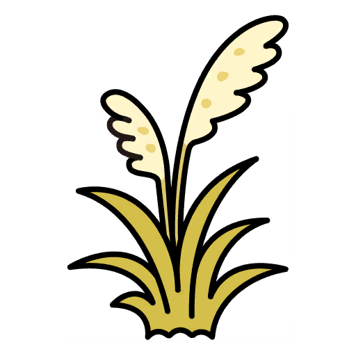 Pampas Grass